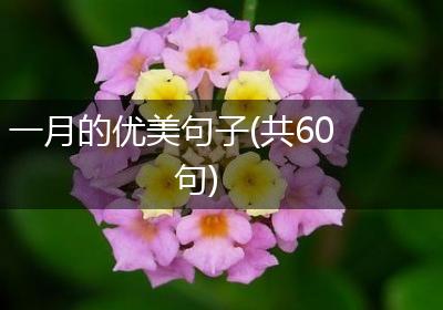 一月的优美句子(共60句)