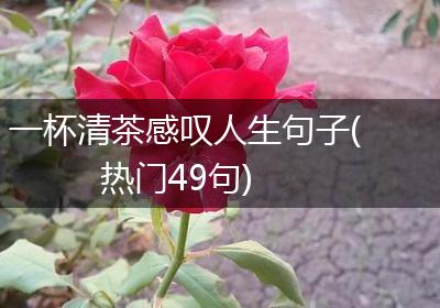 一杯清茶感叹人生句子(热门49句)