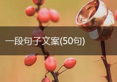 一段句子文案(50句)