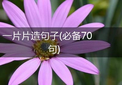 一片片造句子(必备70句)
