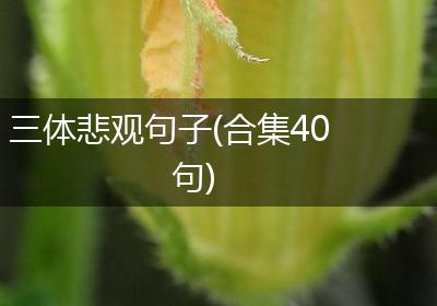 三体悲观句子(合集40句)