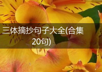 三体摘抄句子大全(合集20句)