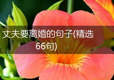 丈夫要离婚的句子(精选66句)