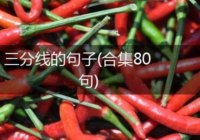 三分线的句子(合集80句)