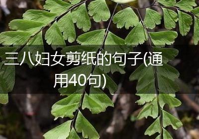 三八妇女剪纸的句子(通用40句)