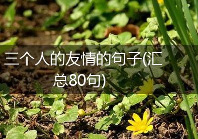 三个人的友情的句子(汇总80句)
