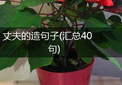 丈夫的造句子(汇总40句)