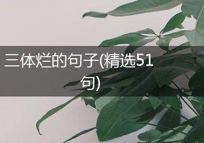三体烂的句子(精选51句)