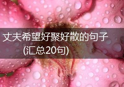丈夫希望好聚好散的句子(汇总20句)