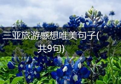 三亚旅游感想唯美句子(共9句)