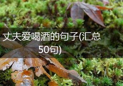丈夫爱喝酒的句子(汇总50句)