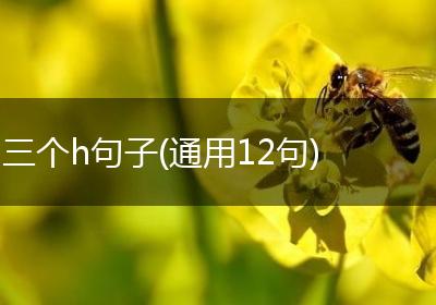 三个h句子(通用12句)