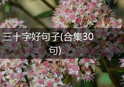 三十字好句子(合集30句)
