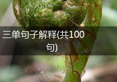 三单句子解释(共100句)