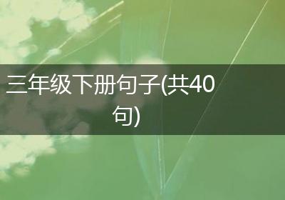 三年级下册句子(共40句)