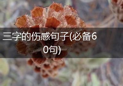 三字的伤感句子(必备60句)