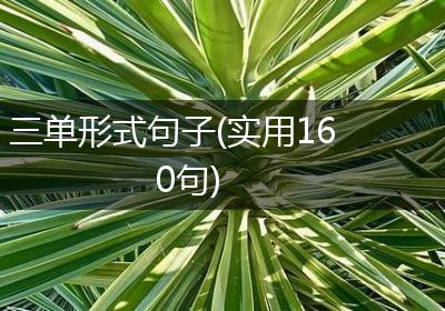 三单形式句子(实用160句)