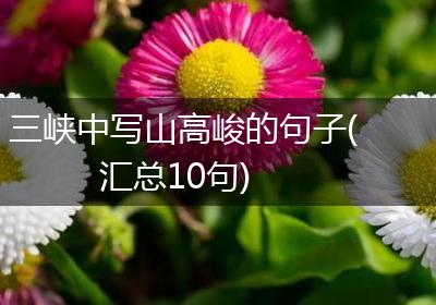 三峡中写山高峻的句子(汇总10句)