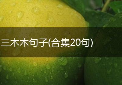 三木木句子(合集20句)