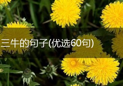 三牛的句子(优选60句)