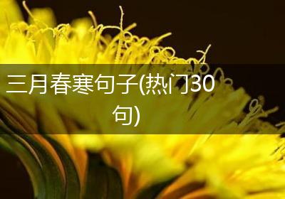 三月春寒句子(热门30句)