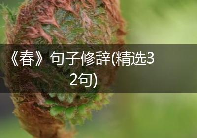 《春》句子修辞(精选32句)