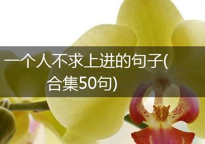 一个人不求上进的句子(合集50句)