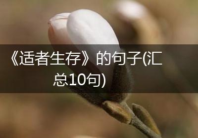 《适者生存》的句子(汇总10句)