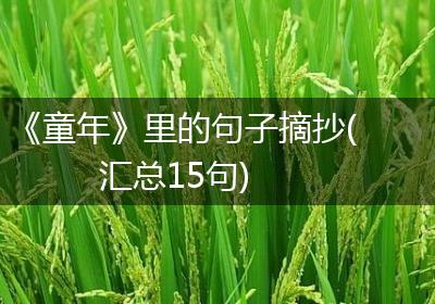 《童年》里的句子摘抄(汇总15句)