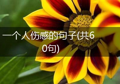 一个人伤感的句子(共60句)