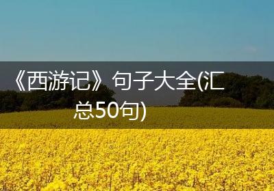 《西游记》句子大全(汇总50句)