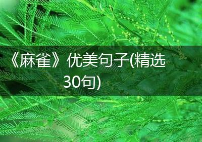 《麻雀》优美句子(精选30句)