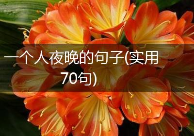 一个人夜晚的句子(实用70句)