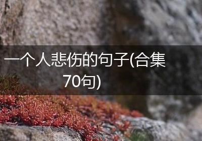 一个人悲伤的句子(合集70句)