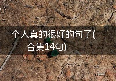 一个人真的很好的句子(合集14句)
