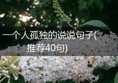一个人孤独的说说句子(推荐40句)