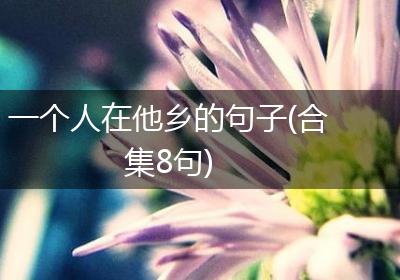 一个人在他乡的句子(合集8句)
