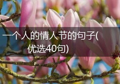 一个人的情人节的句子(优选40句)