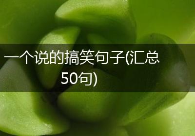 一个说的搞笑句子(汇总50句)