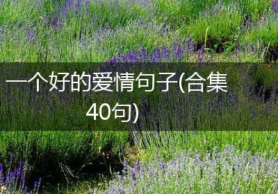一个好的爱情句子(合集40句)