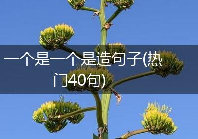 一个是一个是造句子(热门40句)