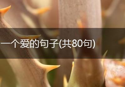一个爱的句子(共80句)