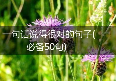 一句话说得很对的句子(必备50句)