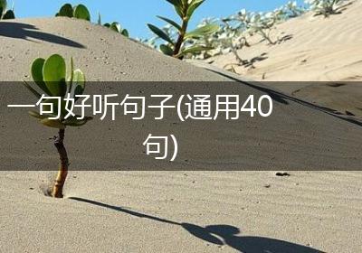 一句好听句子(通用40句)