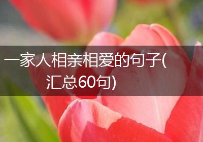 一家人相亲相爱的句子(汇总60句)