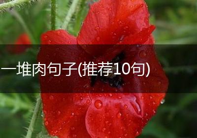 一堆肉句子(推荐10句)