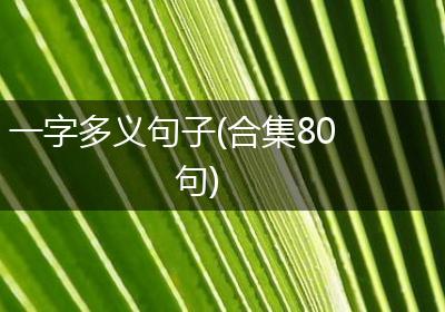 一字多义句子(合集80句)