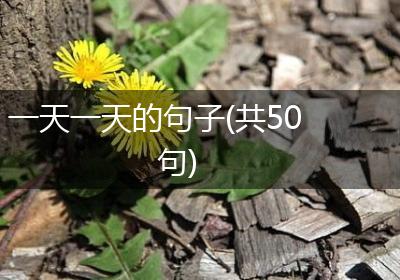 一天一天的句子(共50句)