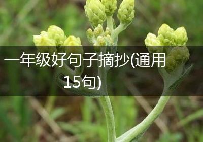 一年级好句子摘抄(通用15句)