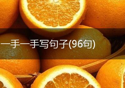 一手一手写句子(96句)
